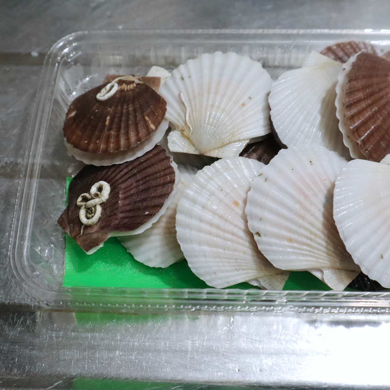 200円で作る絶品海鮮スープは、ホタテの稚貝を使って
