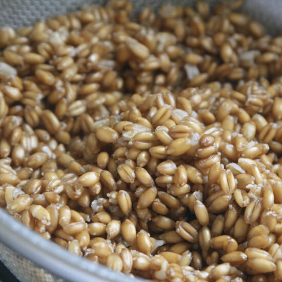 スペルト小麦（穀粒）の茹で加減の目安
