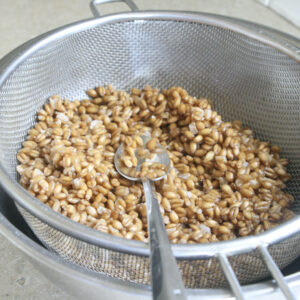スペルト小麦（穀粒）の茹で方